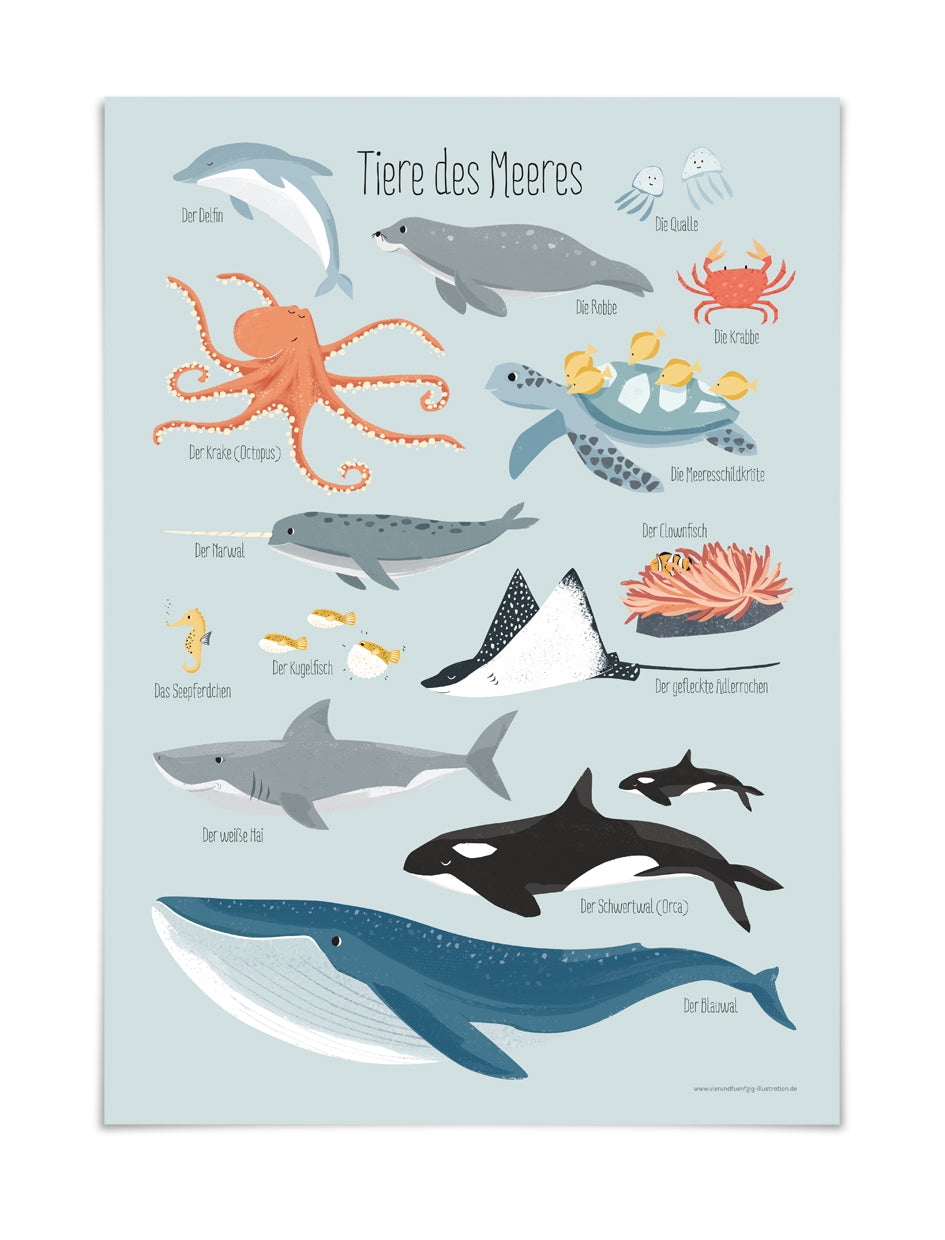 Illustriertes Poster mit dem Titel „Kinderzimmerposter A3 ‚Tiere des Meeres‘“ von 54illustration, das verschiedene Meerestiere zeigt. Enthält einen Oktopus, eine Schildkröte, eine Robbe, eine Krabbe, einen Fisch, einen Narwal, einen Clownfisch, einen Eichhörnchenfisch, einen Kugelfisch, einen Rochen, einen Seeteufel, einen Weißen Hai, einen Schwertfisch und einen Blauwal – alle mit deutscher Beschriftung. Perfektes Meerestiere-Poster DIN A3 für ein Lernposter im Kinderzimmer!