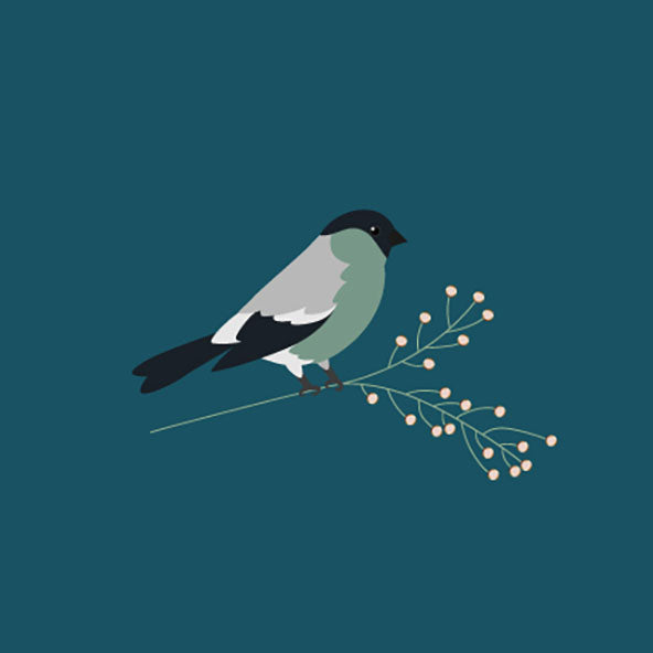 Entdecken Sie die „Postkarte Blue Bird“ von nobisdesign. Diese Karte besticht durch ihr minimalistisches Design einer grünen und grauen Vogelillustration auf einem schlanken Zweig mit kleinen weißen Beeren, vor einem dunkeltealblauen Hintergrund. Perfekt als A6-Postkarte für Liebhaber stilvoller Ästhetik.