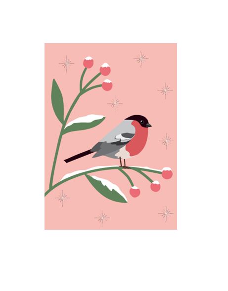 Wir präsentieren die Postkarte Gimpel im Winter von nobisdesign: Diese bezaubernde Illustration, ideal für eine Grußkarte, zeigt einen Vogel mit grauem und rotem Körper, der auf einem schneebedeckten, mit roten Beeren geschmückten Ast sitzt. Der rosa Hintergrund weist dezente Sternenmuster auf und fängt die Essenz der Weihnachtszeit in diesem entzückenden Winterdesign wunderschön ein.